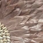 DUSTY PINK XL JUJU| COWRIE SHELLS - Image 5